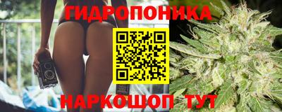 спиды Нарткала