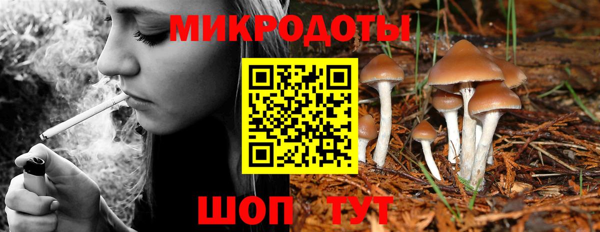 Псилоцибиновые грибы мицелий Ступино